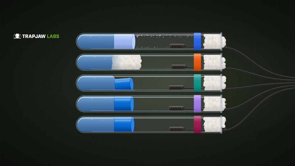 Best PVA Test Tube Sponge For Ants? 5 Setups Tested