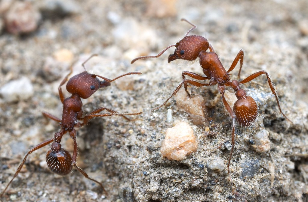 Workers