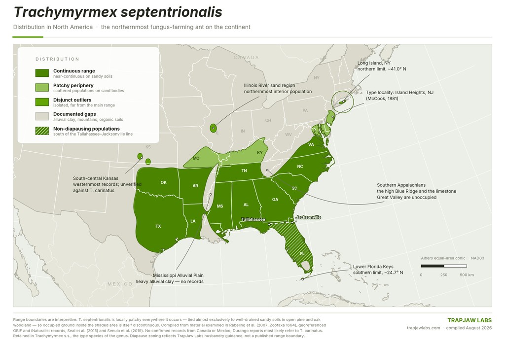 Range map of Trachymyrmex septentrionalis: Texas to Florida north to Long Island, with non-diapausing Florida zone