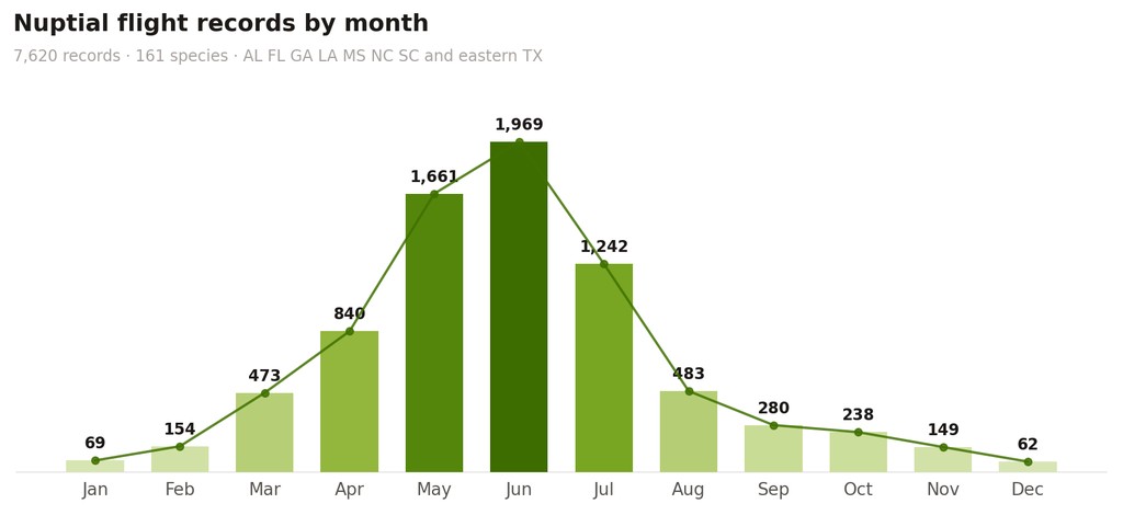 Bar chart of nuptial flight records by month, rising from 69 in January to a peak of 1,969 in June and falling to 62 in December