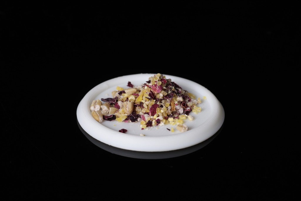 Fungus-Farmer Diet in a Large Feeding Dish