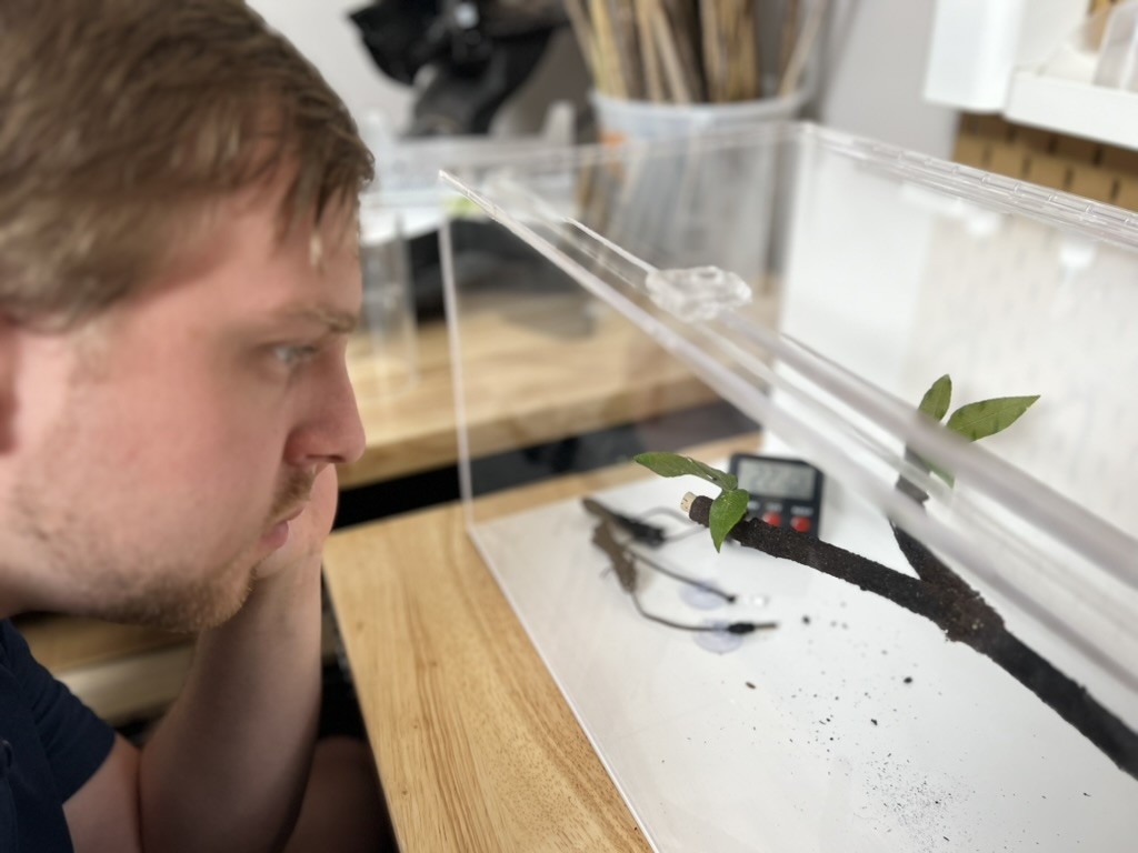 Miles looking at ant.