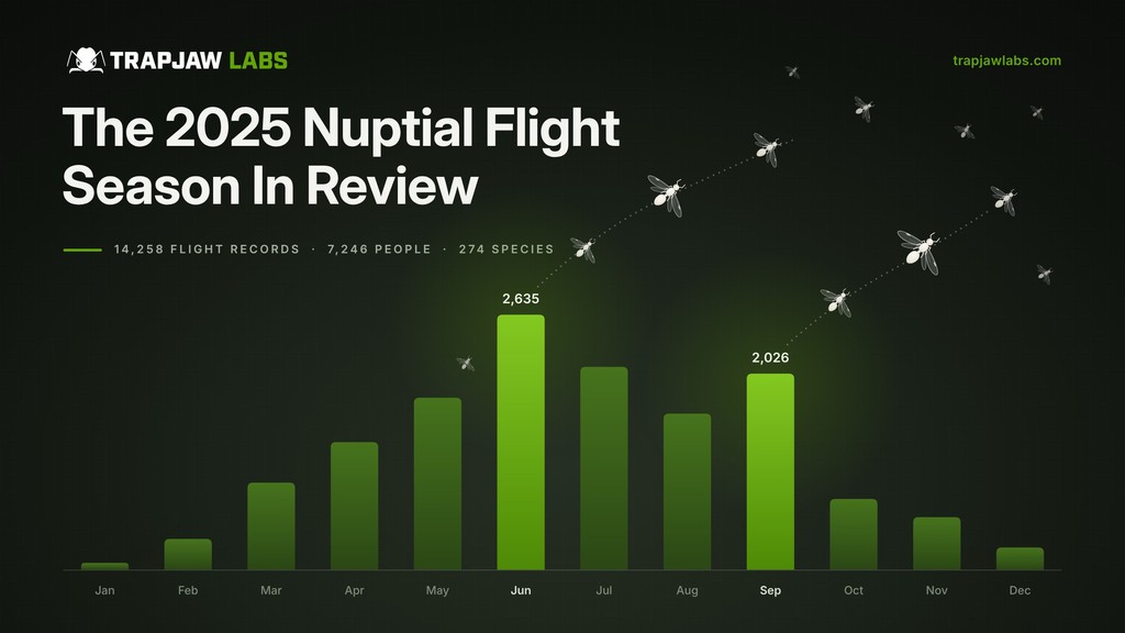 The 2025 US Nuptial Flight Season In Review