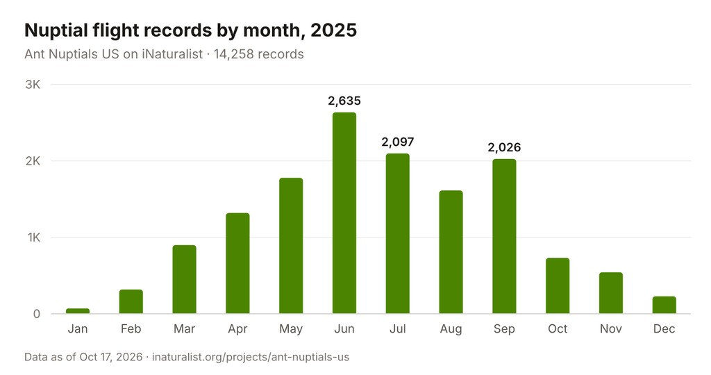 Bar chart of 2025 nuptial flight records by month, rising from 70 in January to a peak of 2,635 in June, dipping to 1,613 in August, climbing back to 2,026 in September, then falling to 229 in December