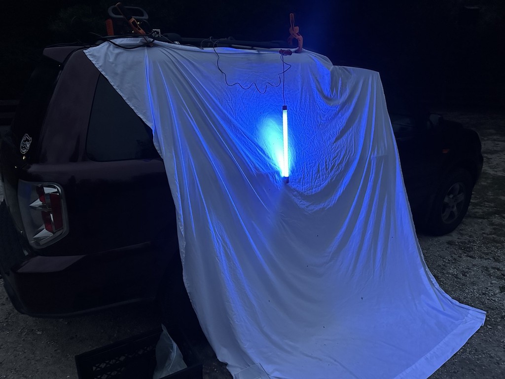 A white sheet draped from an SUV roof rack at dusk, with a UV tube hanging in front of it