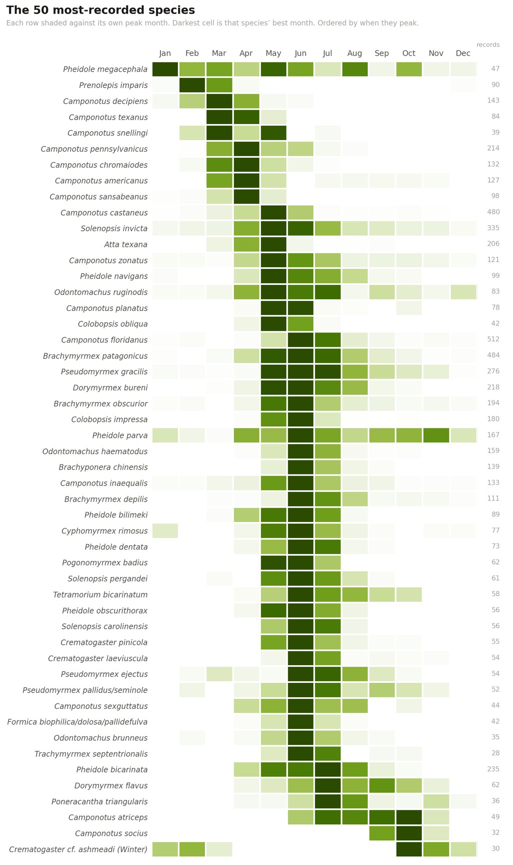 Heatmap of the 50 most-recorded species across twelve months, forming a diagonal from January at the top to October at the bottom