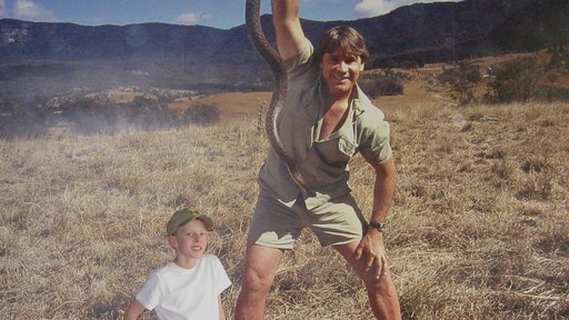 Remembering Steve Irwin