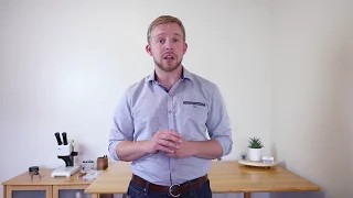 How to Care for a Queen Ant | Ant Keeping 101