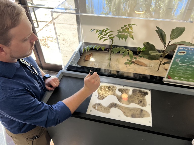 Education and exhibits