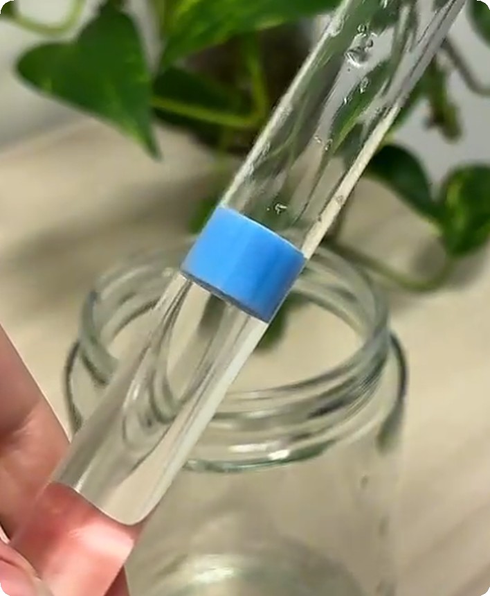 A sponge seated square in the tube, its faces flat across the bore with water held right up against it